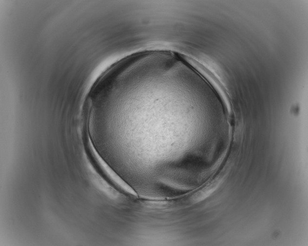 X0000091291342200709071024