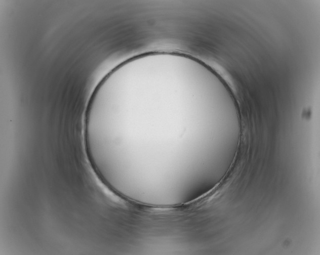 X0000091291343200709071024