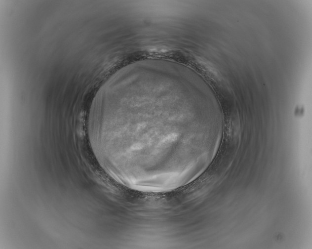 X0000091291346200709071023