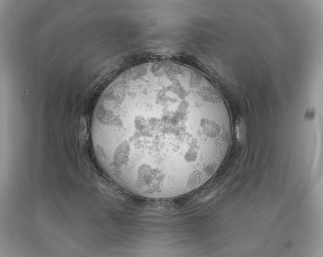 X0000091291347200709071023