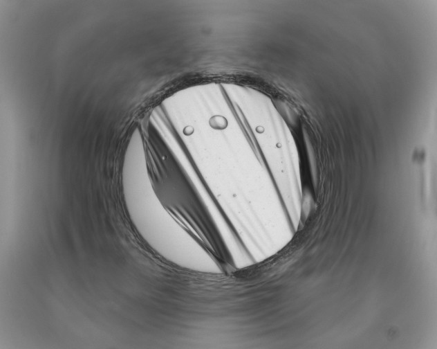 X0000091291348200709071023