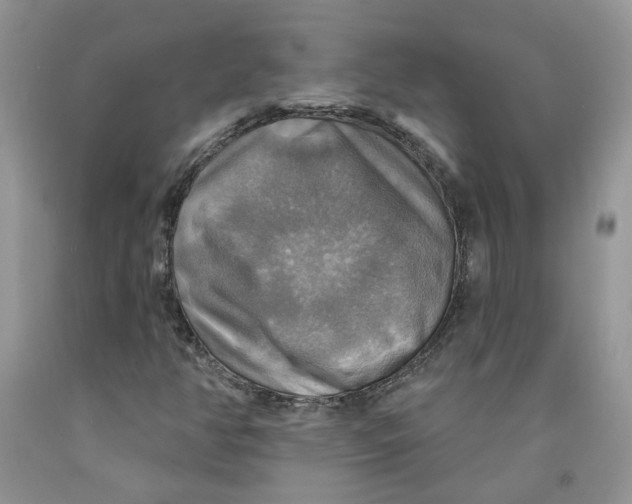 X0000091291350200709071023