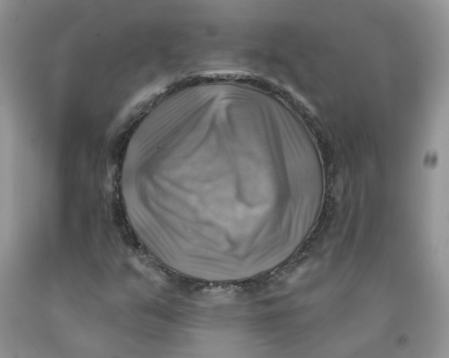 X0000091291351200709071023