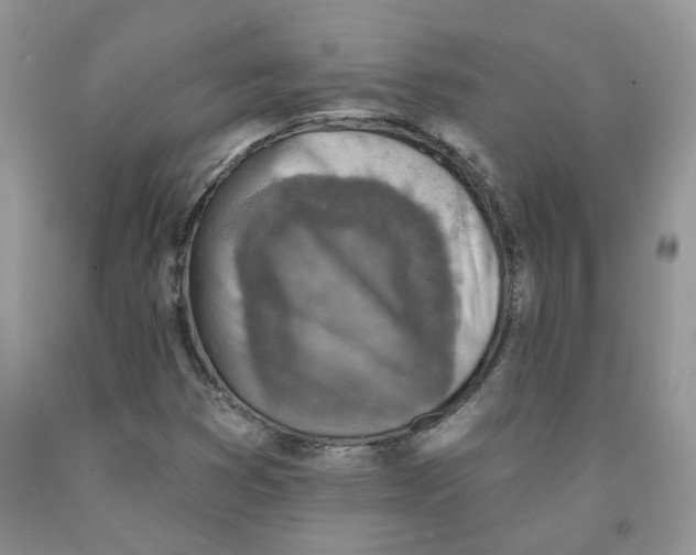 X0000091291353200709071023