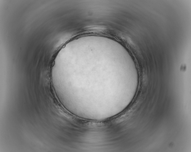 X0000091291354200709071023