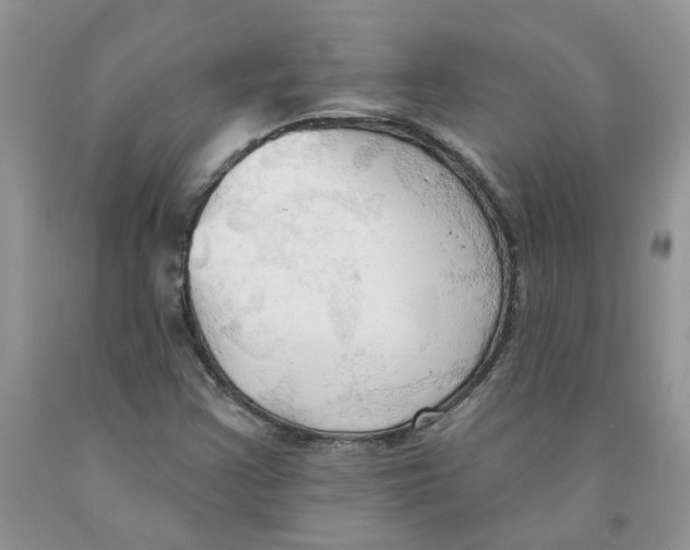 X0000091291355200709071023