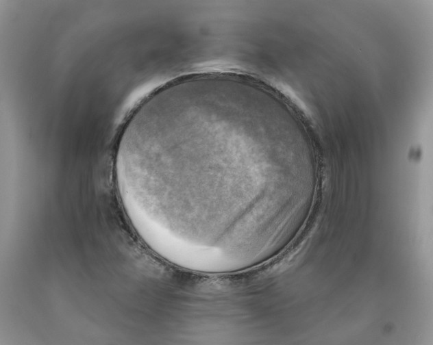 X0000091291358200709071023