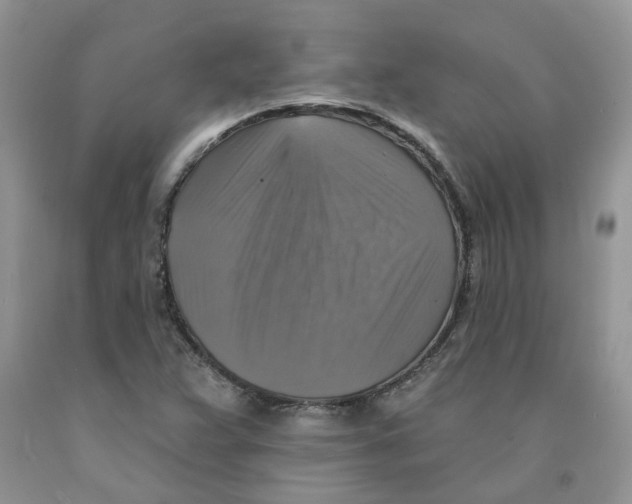 X0000091291359200709071023