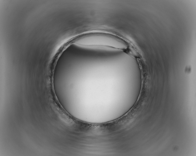 X0000091291360200709071023