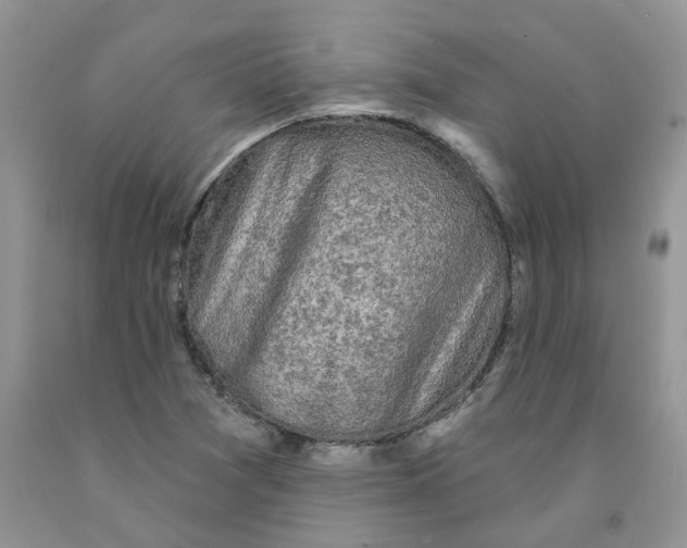 X0000091291361200709071023