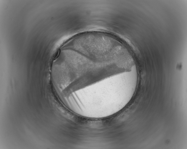 X0000091291363200709071023