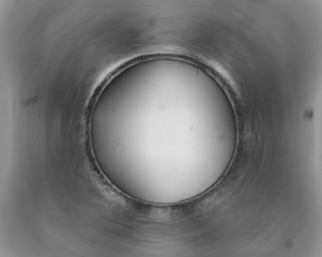 X0000091291364200709071023