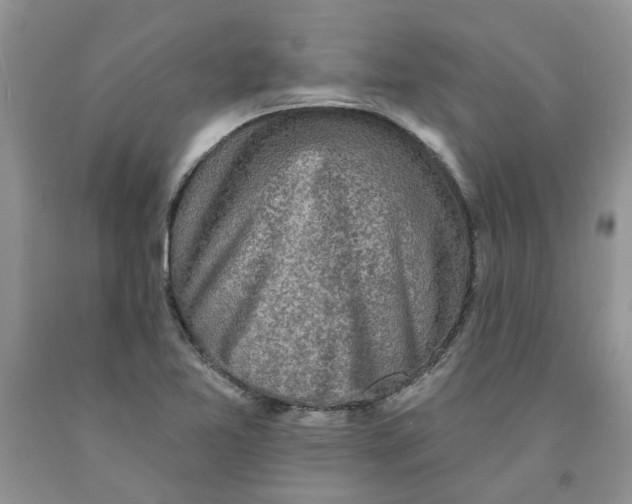 X0000091291365200709071023