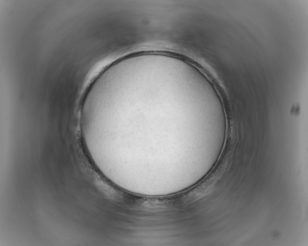 X0000091291366200709071023