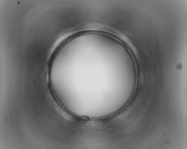 X0000091291368200709071023