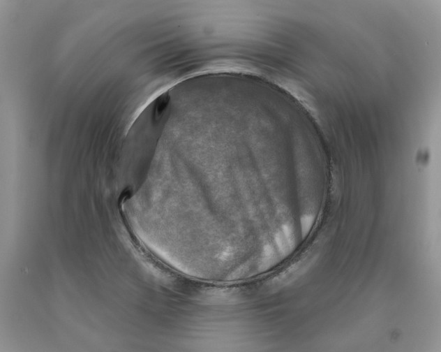 X0000091291369200709071023