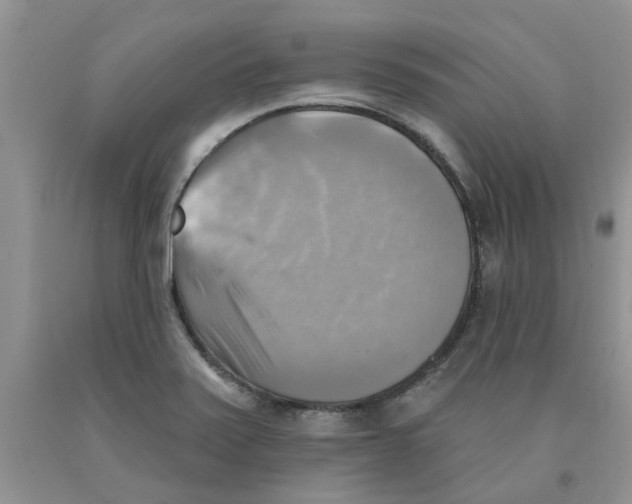 X0000091291371200709071023