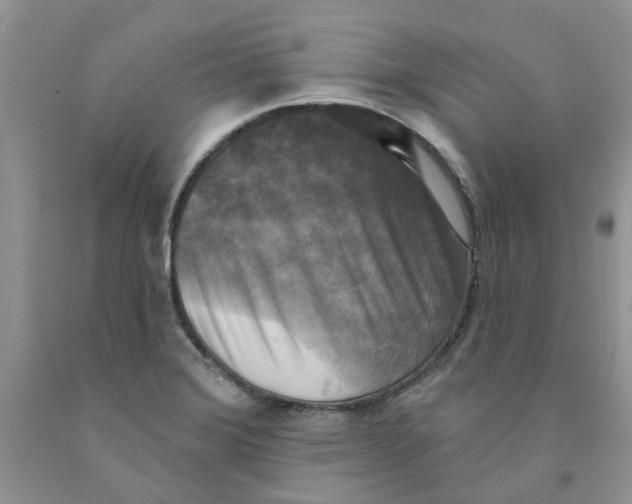 X0000091291372200709071023