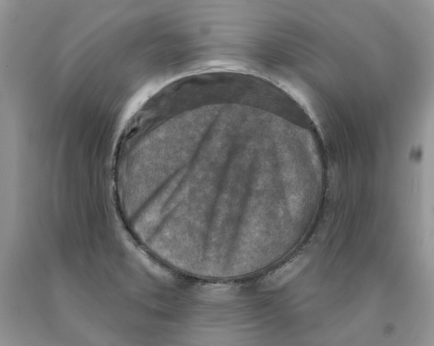 X0000091291373200709071023