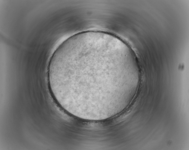 X0000091291375200709071023