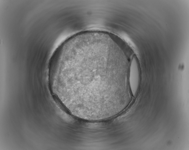 X0000091291376200709071023