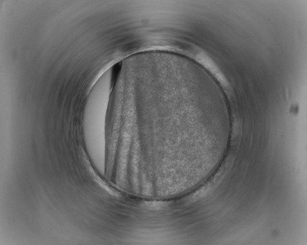 X0000091291377200709071023