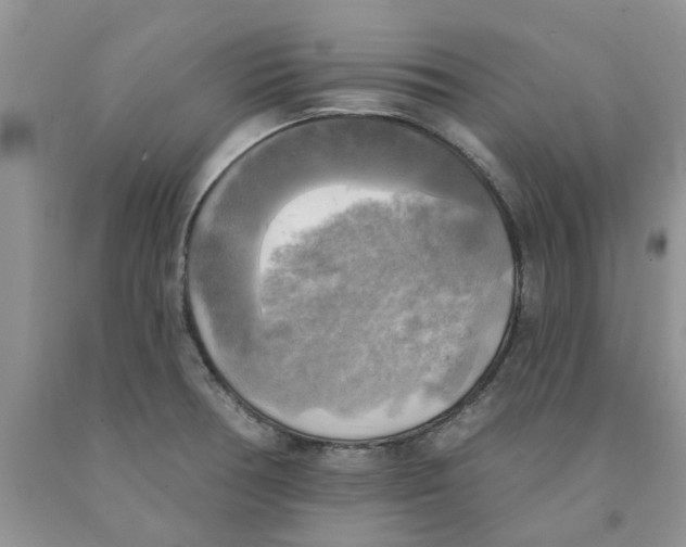 X0000091291378200709071023