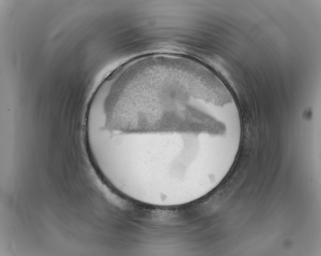 X0000091291379200709071023