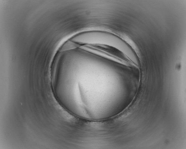 X0000091291380200709071023