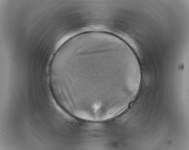 X0000091291382200709071023