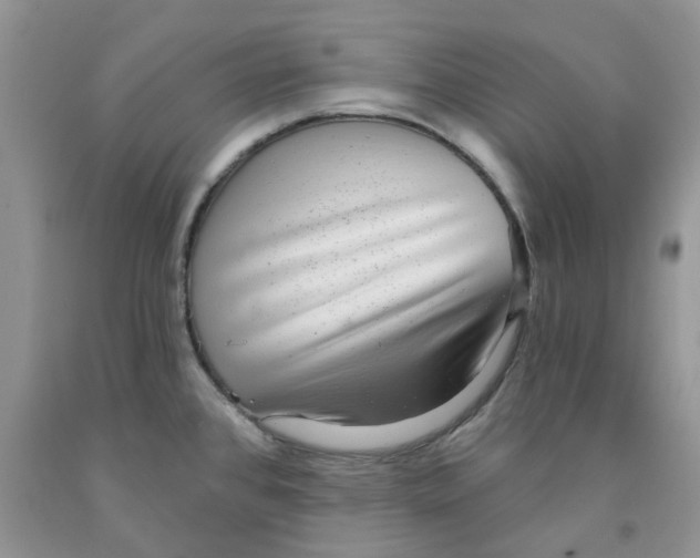 X0000091291384200709071023