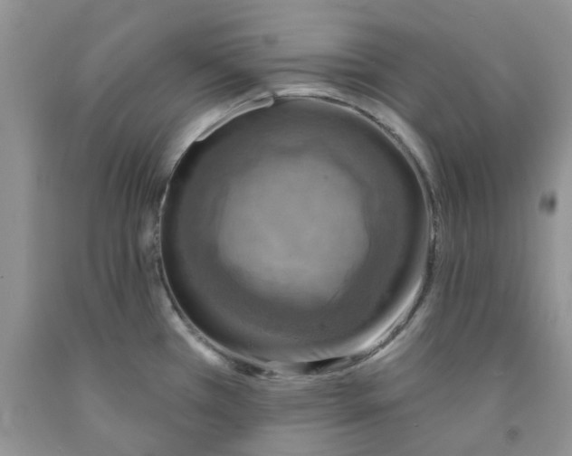 X0000091291385200709071023