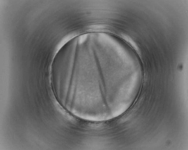 X0000091291386200709071023