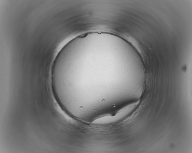 X0000091291387200709071023