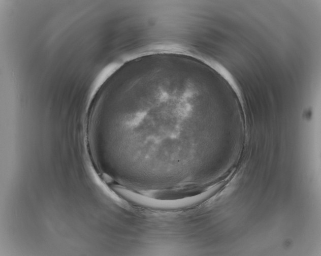 X0000091291389200709071023