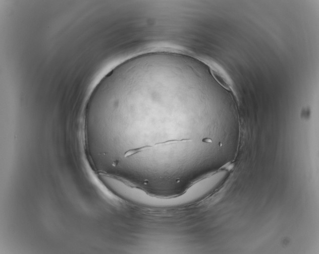 X0000091291391200709071023