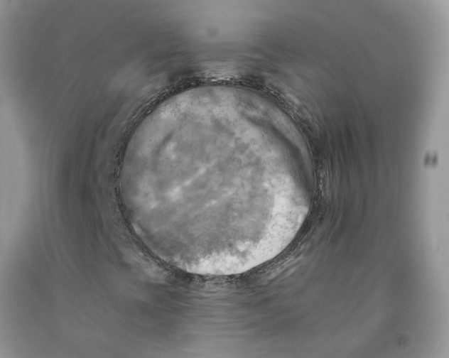 X0000091291393200709071022