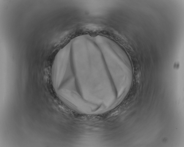 X0000091291397200709071022