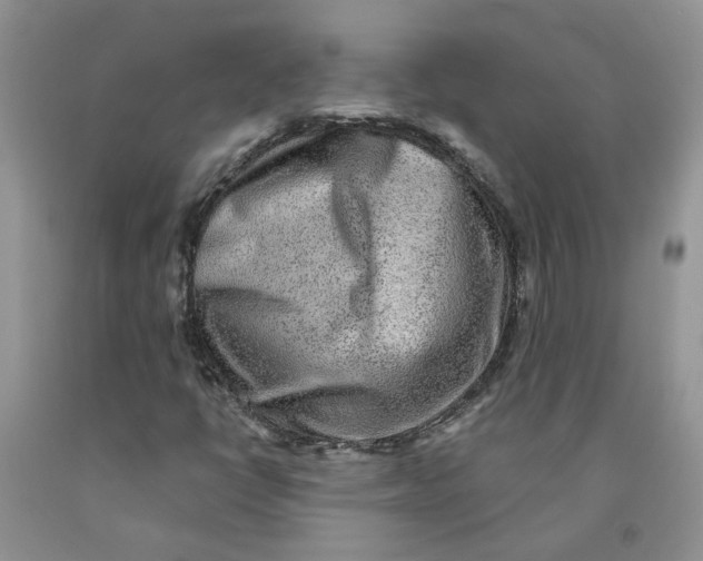 X0000091291398200709071022