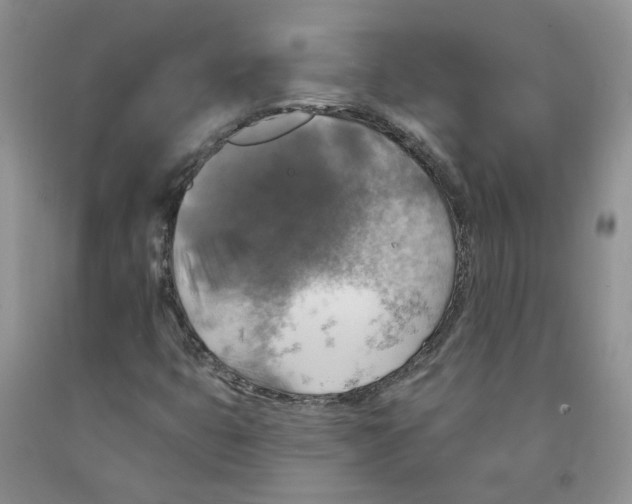 X0000091291399200709071022