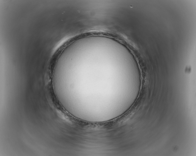 X0000091291400200709071022