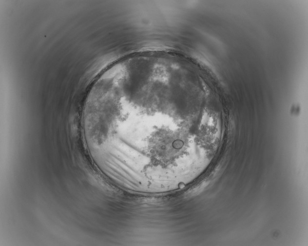 X0000091291401200709071022