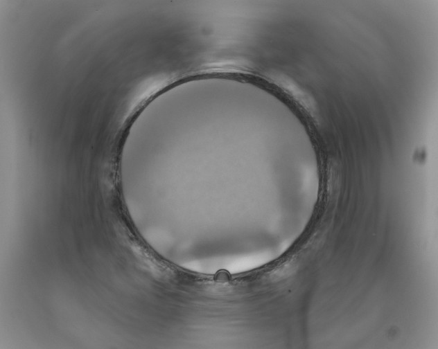 X0000091291405200709071022