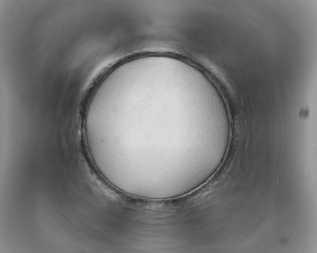 X0000091291408200709071022