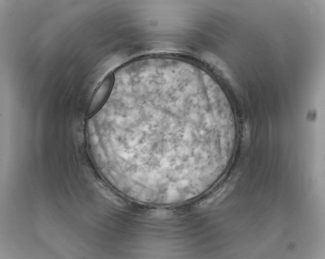 X0000091291409200709071022