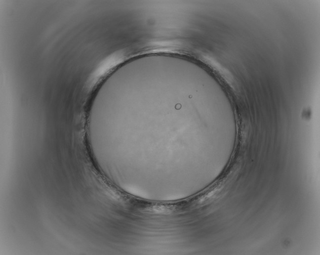 X0000091291411200709071022