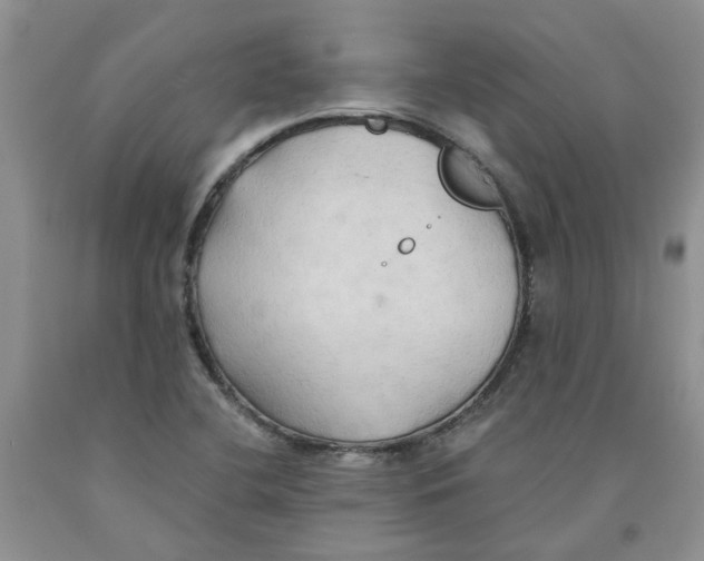 X0000091291412200709071022