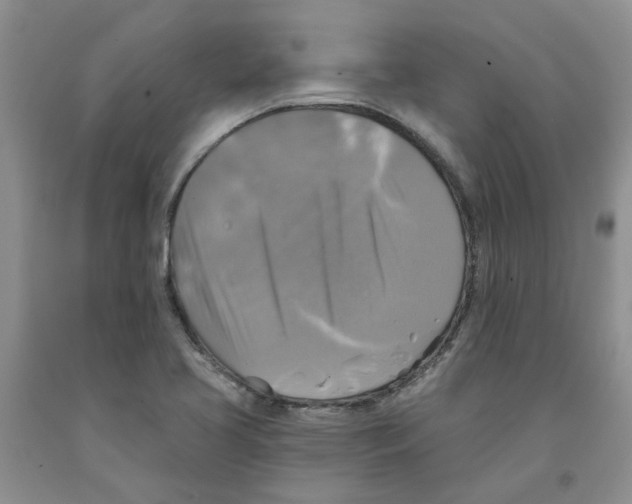 X0000091291413200709071022