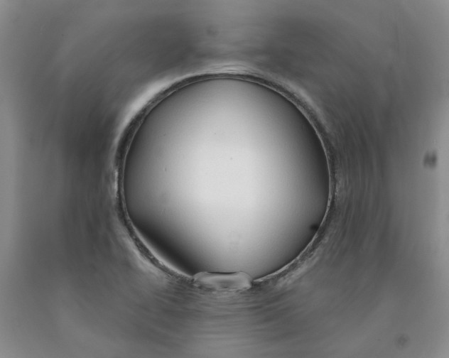 X0000091291414200709071022