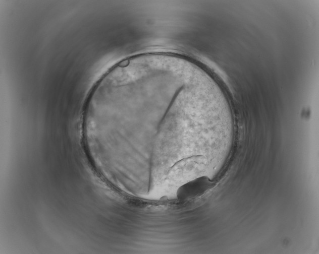 X0000091291415200709071022